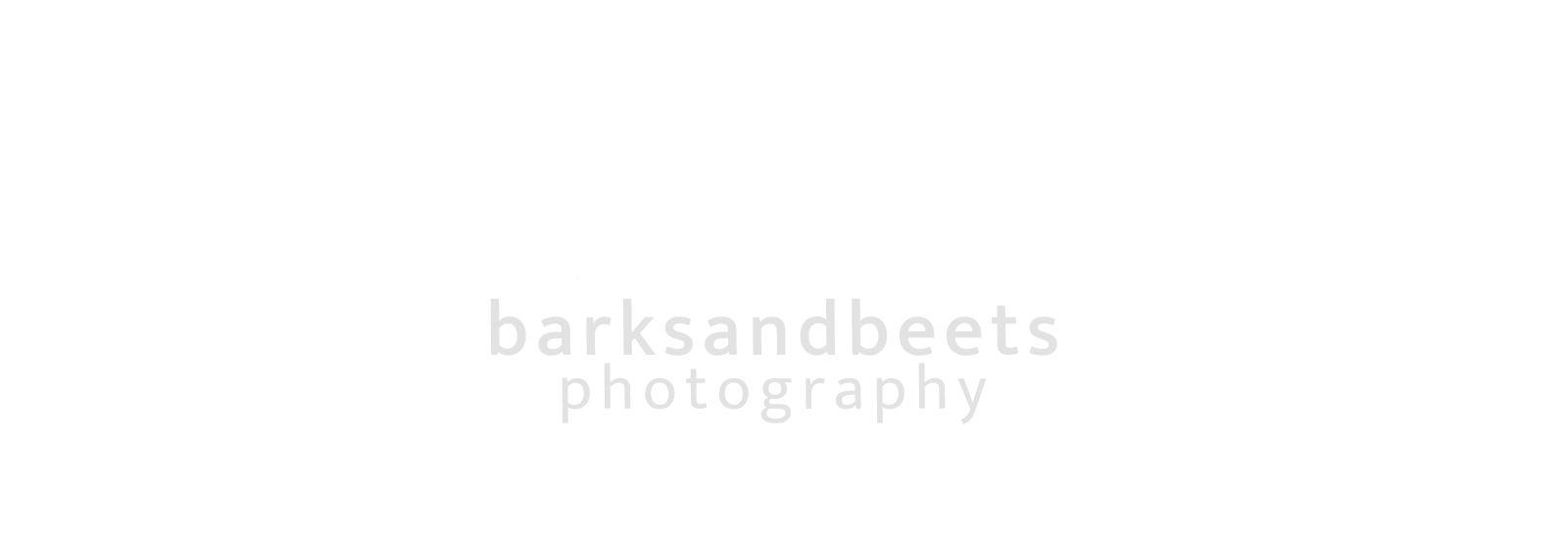 barksandbeets photography by Lea Borgelt