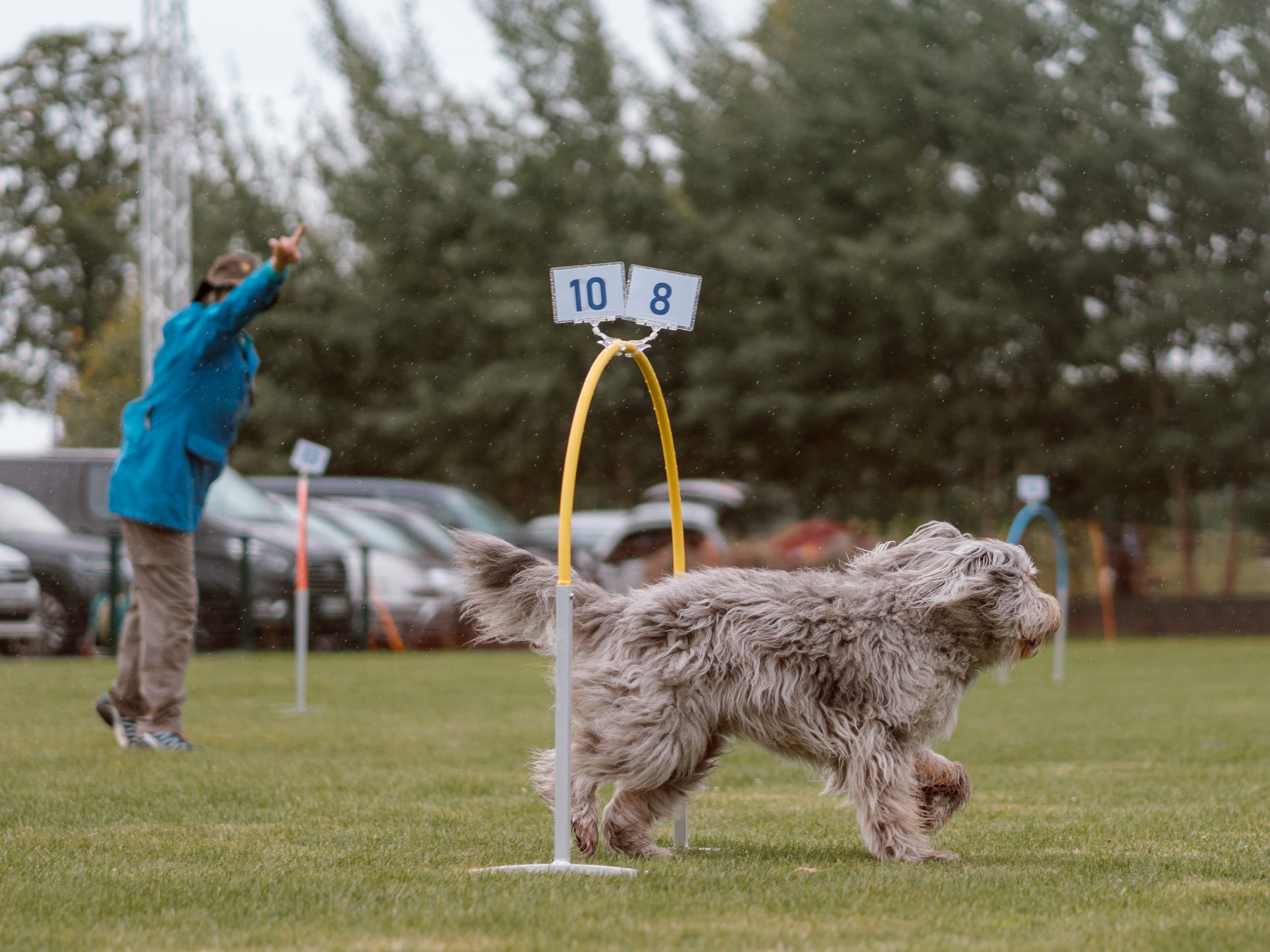 Turnierfotos Hoopers PHV Kamen 13.09.2025
